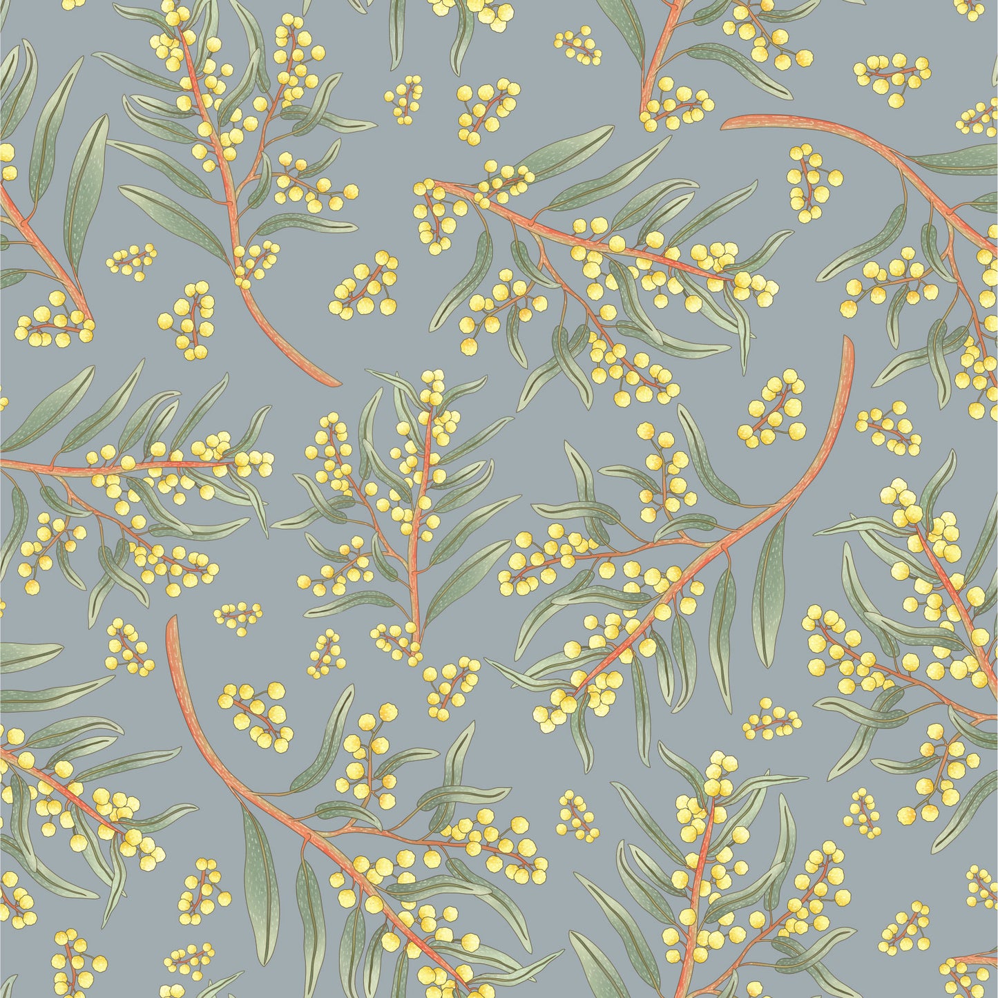Jen Digital Art  - Australia Wildflowers Wattle