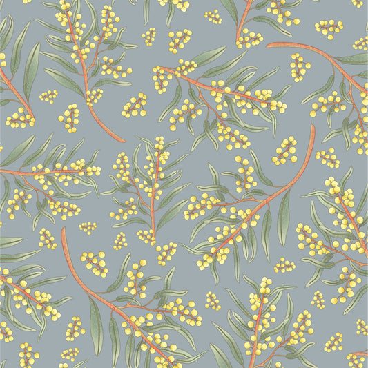 Jen Digital Art  - Australia Wildflowers Wattle
