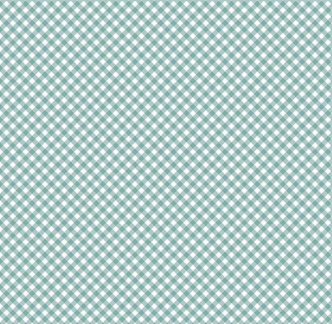 Baby Boy Gingham C16765 Oxford