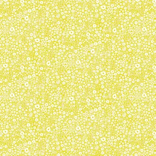 Ditsy Daisy - Binding